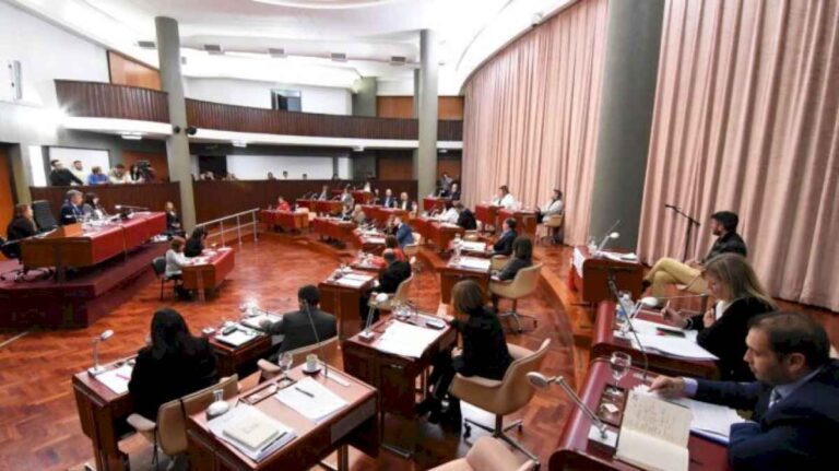 diputados-aprobaron-la-emergencia-alimentaria-en-trelew