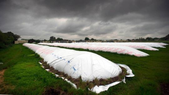 El campo todavía tiene por vender US$ 8.900 millones de la cosecha de soja