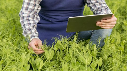 Agro: Un productor necesita un 73% más de granos para comprar la misma cantidad de insumos que el año pasado