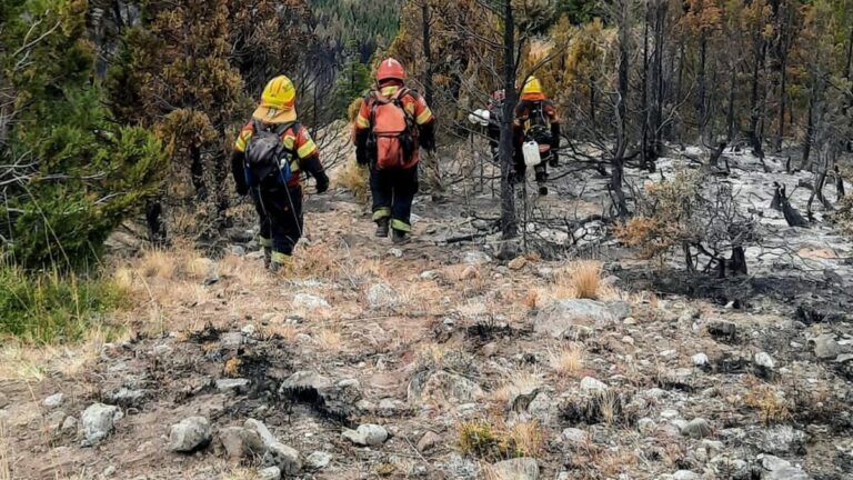 Se contuvo el incendio forestal iniciado en zona de Trevelin