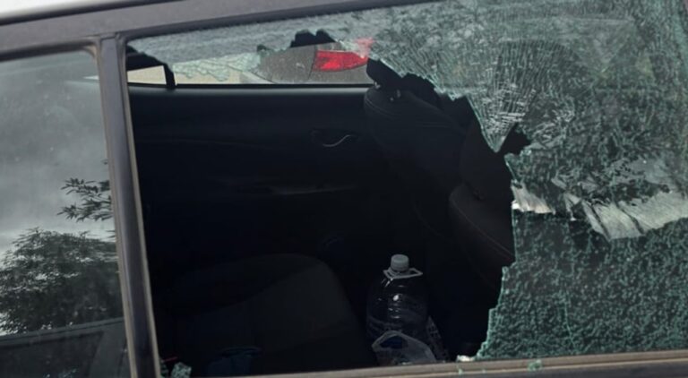 Demoraron a un delincuente de 12 años en Chubut por robar en un auto