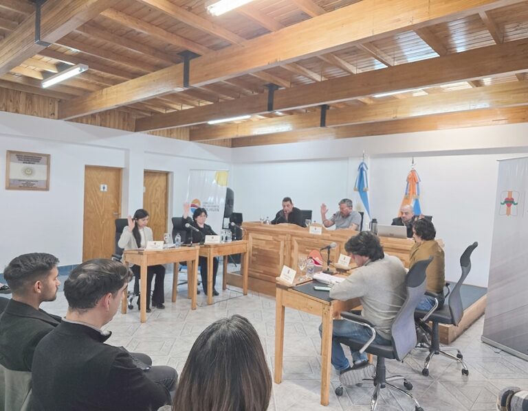 Concejo de Tolhuin pide informes sobre tierras y alquileres