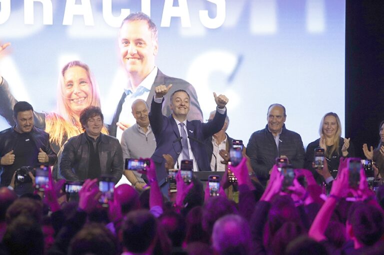 Adorni se impuso en las elecciones legislativas