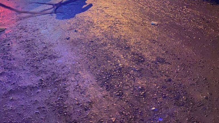 Ardió en llamas un auto abandonado en el San Cayetano