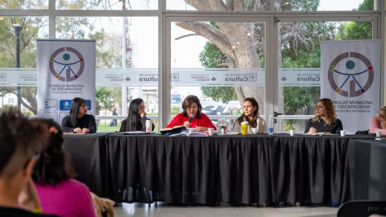Se concretó un nuevo encuentro del Consejo Municipal de Discapacidad