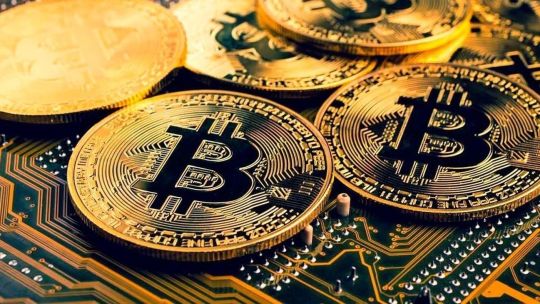 Aseguran que Trump apuesta por el bitcoin y despierta al mercado cripto