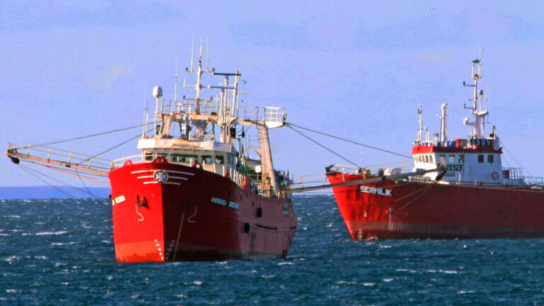 La temporada de langostino en aguas nacionales está en riesgo