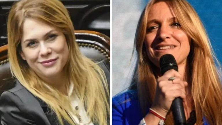 El fuerte cruce de una diputada kirchnerista con Lilia Lemoine: «Callate vos, loca»