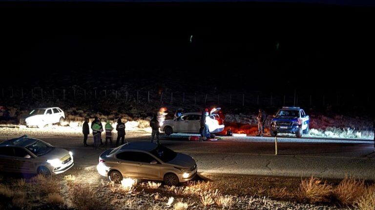 La policía desarticuló a una banda delictiva en Tecka