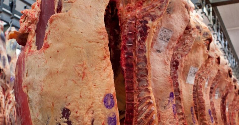 El Gobierno decidió evaluar por otros 60 días el ingreso de carne con hueso a la Patagonia
