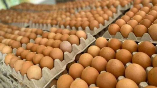 Alerta por contrabando de huevos: detectan ingreso masivo desde países limítrofes
