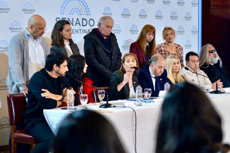 La Emergencia en Discapacidad será ley, afirmó López