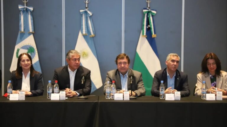 Weretilneck: del sinuoso camino del ajuste al futuro extractivista