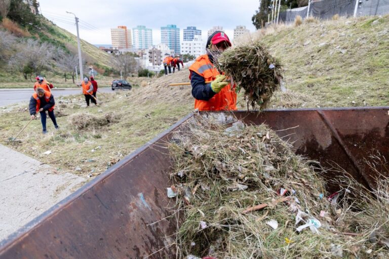 Refuerzan la limpieza y reparación de luminarias en el paseo peatonal de la avenida Alsina