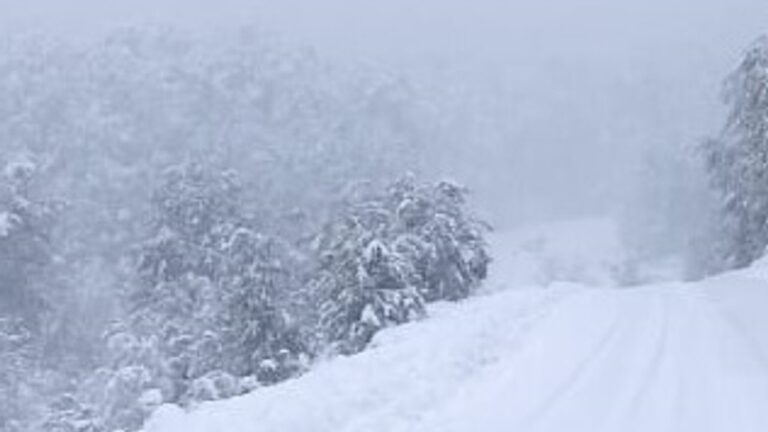 Se intensifica el invierno en Neuquén: anuncian más nevadas, vientos y temperaturas bajo cero