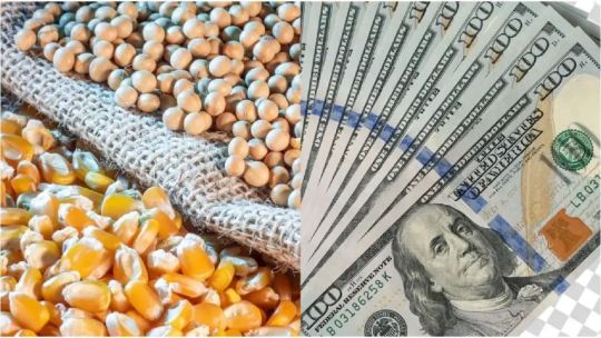 6 de cada 10 dólares que ingresan al país provienen de las cadenas agroindustriales