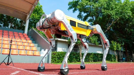 El Rinoceronte Blanco: un robot chino rompe el récord mundial en los 100 metros