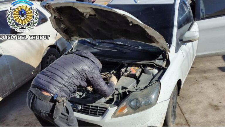 Circulaba en un auto que había sido dado de baja