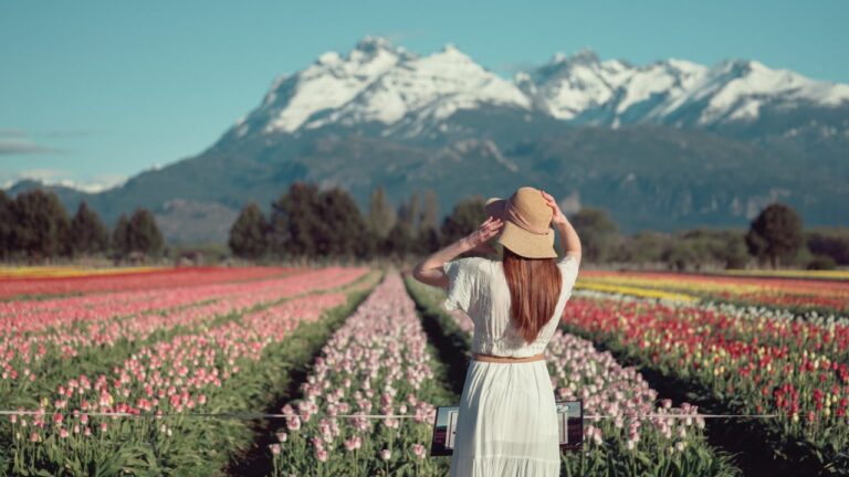 Guía 2025 para visitar el Campo de Tulipanes de Trevelin: fechas, precios y cómo llegar