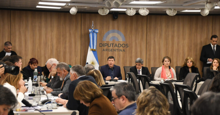Escándalo de los audios: la oposición avanza en Diputados con el pedido de interpelación a Karina Milei