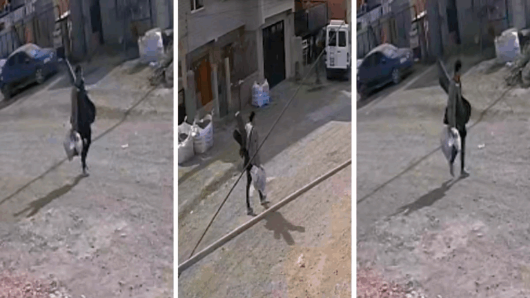 Robo de instrumentos en el barrio Máximo Abásolo