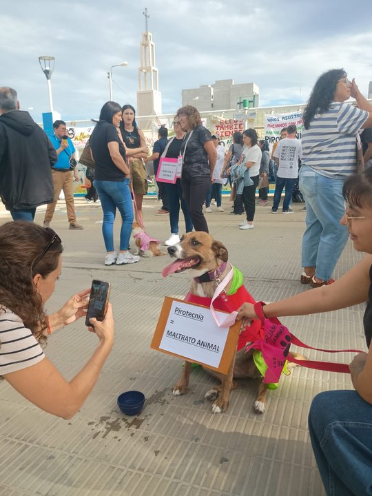 Vecinos y organizaciones marcharon para exigir el regreso de Pirotecnia Cero en Comodoro: «Hoy no venimos a pedir favores, venimos a exigir responsabilidad»