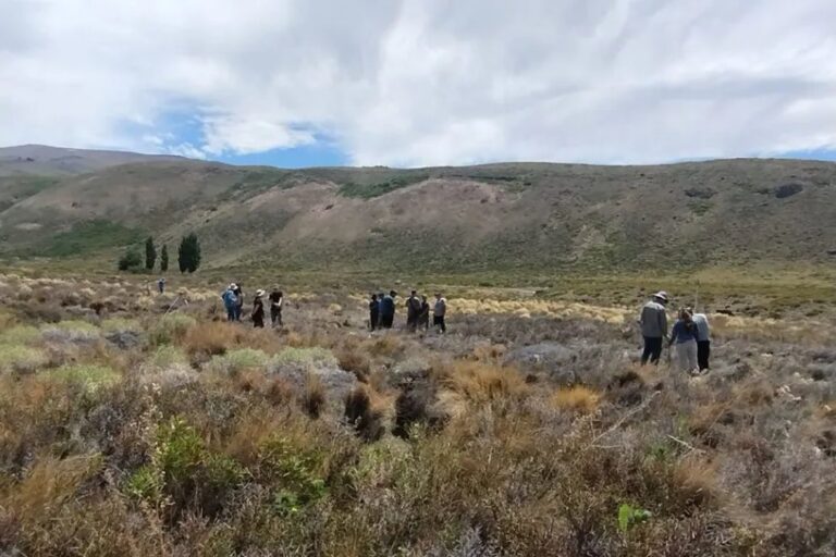 Nación declaró la emergencia por sequía en Neuquén: qué zonas alcanza y qué beneficios otorga