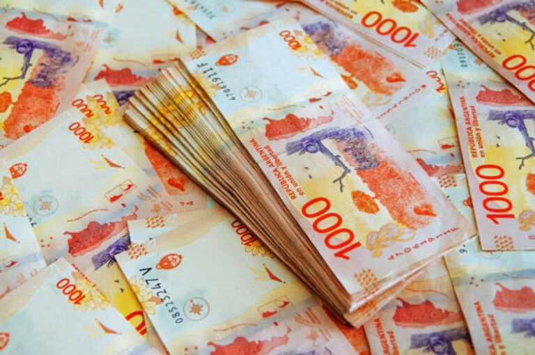 ANSES: quiénes cobran el pago especial de $341.000 desde enero y durante todo el año