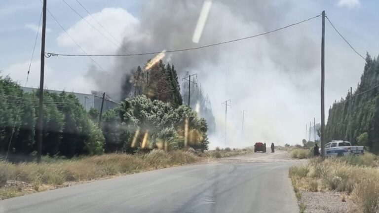 Puerto Madryn: incendio y fuga de amoníaco en la planta pesquera Conarpesa