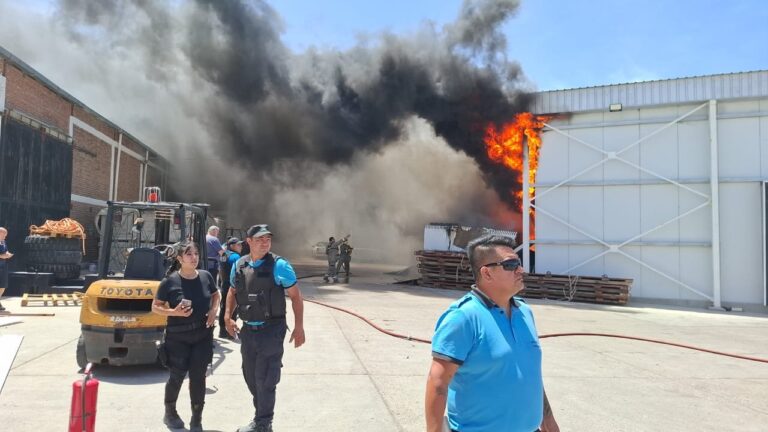 El fuego arrasó dos galpones de Conarpesa y causó grandes pérdidas: no hubo fuga de amoníaco
