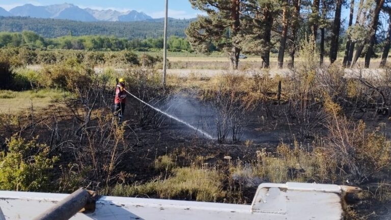 Contuvieron un incendio forestal de rápida propagación en Cholila