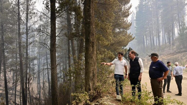 Ofrecen 50 millones por los responsables del incendio