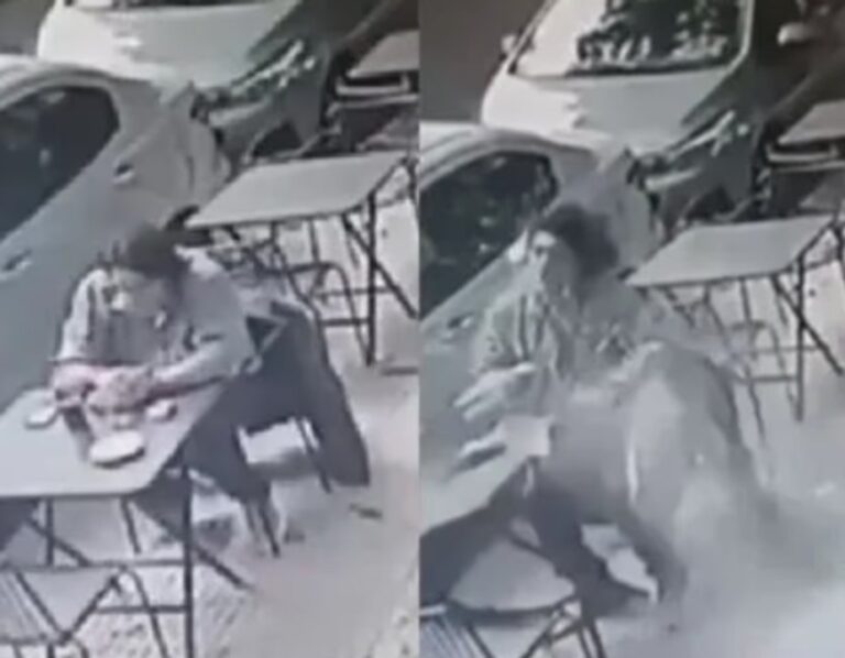 Un vidrio se desprendió de un balcón y cayó sobre su cabeza mientras comía en un bar: Tuve mucha suerte