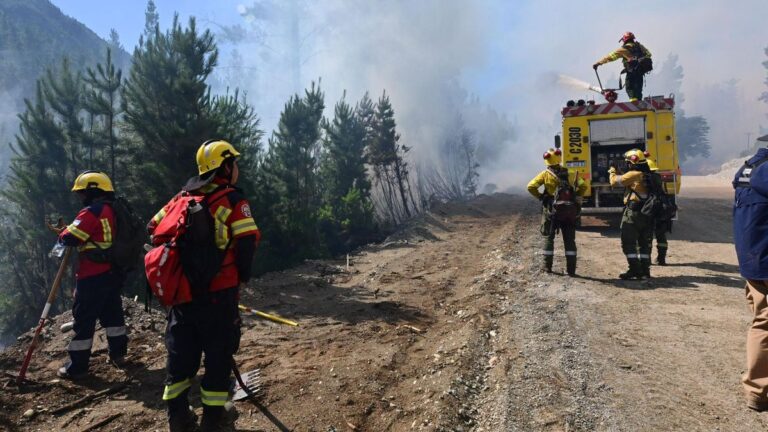 Torres confirmó que se quemaron más  de 3.500 hectáreas en Puerto Patriada