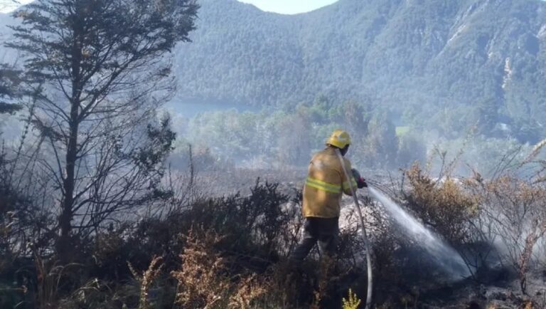 Alerta extrema en Neuquén por incendios forestales: prohíben el fuego en toda la provincia