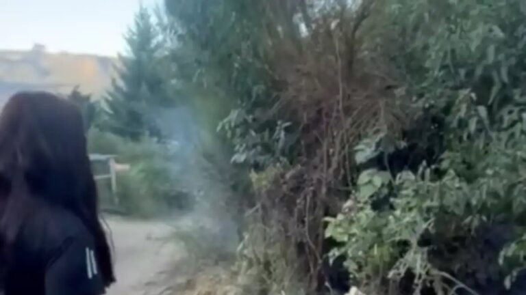 En plena emergencia ígnea, turistas frenaron un foco de incendio cerca de un bosque nativo patagónico